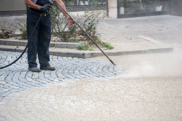 Best Warehouse Cleaning  in Sa De Oro Mount Helix, CA